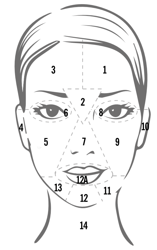 Face mapping skin analysis