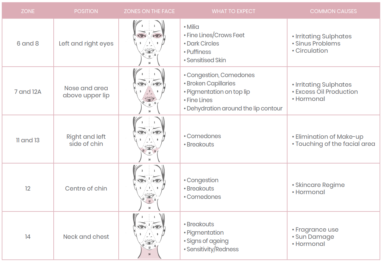 Skin analysis chart
