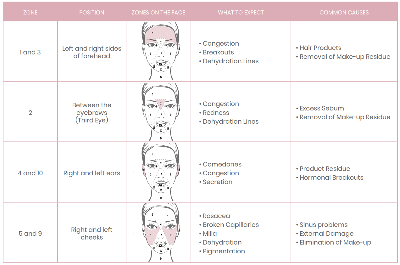Face mapping chart