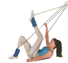 ביטנית
