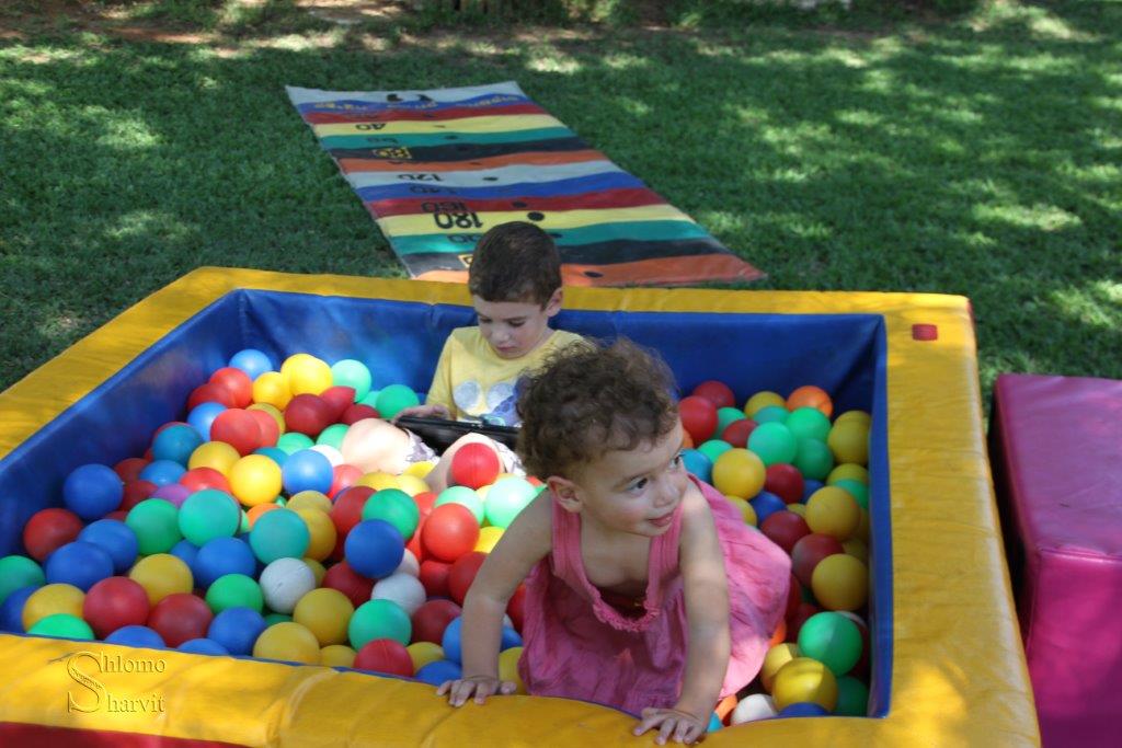 ביטנית 2