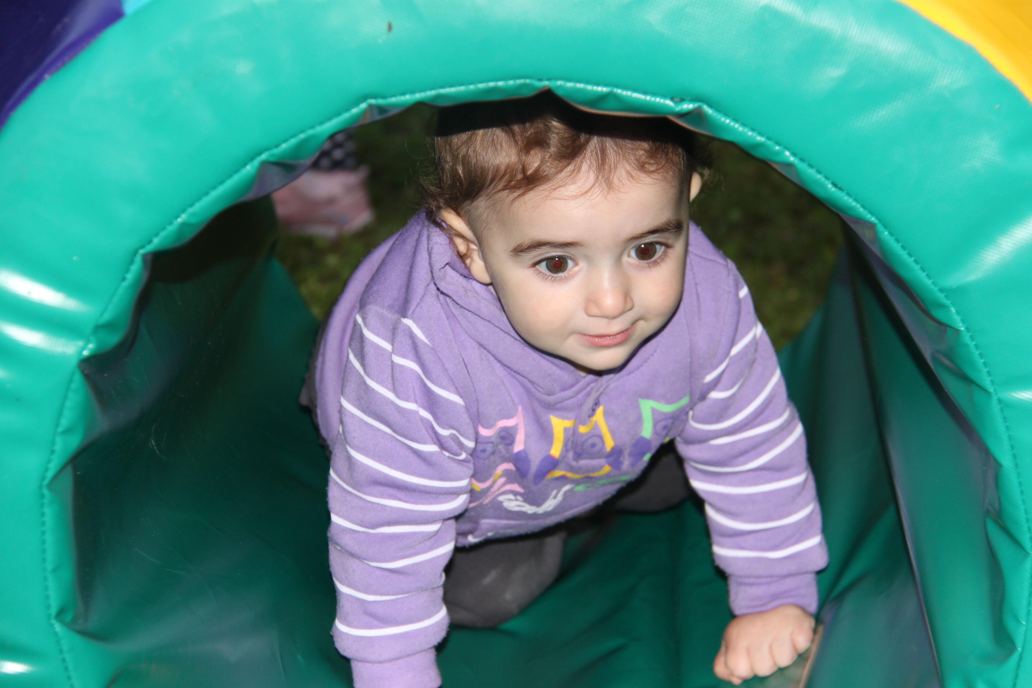ביטנית 21