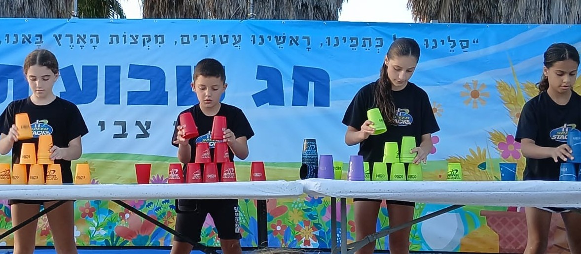 ביטנית 24