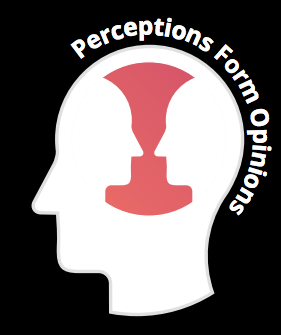 Perceptions Form Opinions