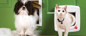 CAT - DOG FLAPS & LETTER BOXES 