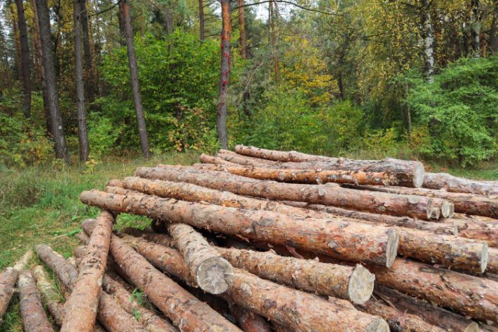 Community Use | Mudhouse Farm Winkleigh