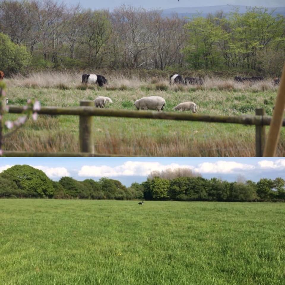 Mudhouse Farm