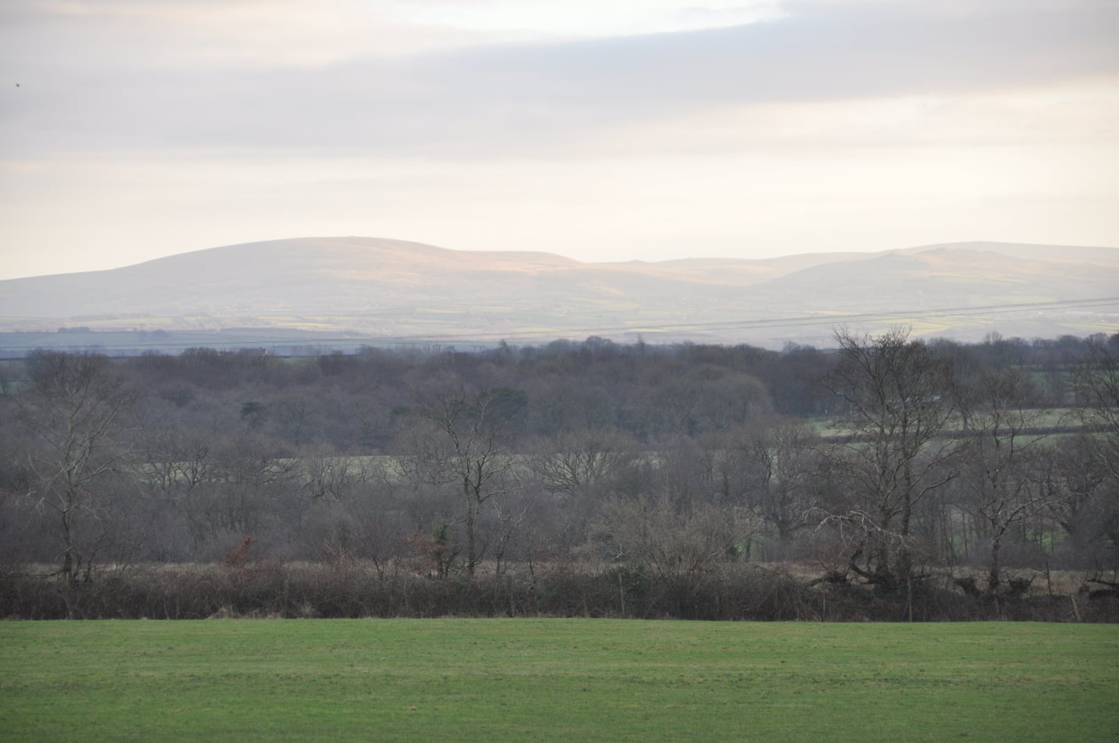 Mudhouse Farm
