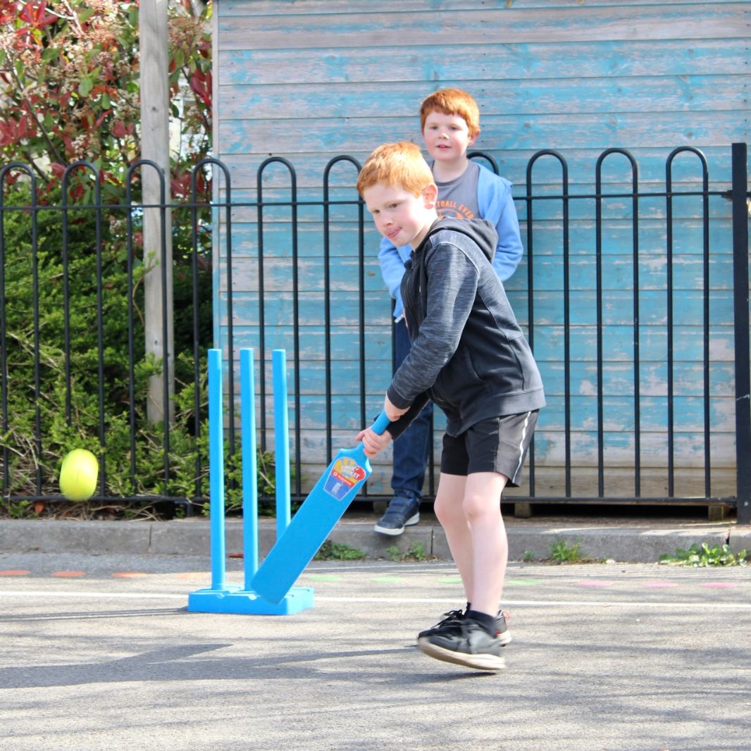 Cricket