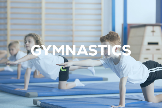 Gymnastics Gymnastics