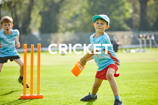 cricket
