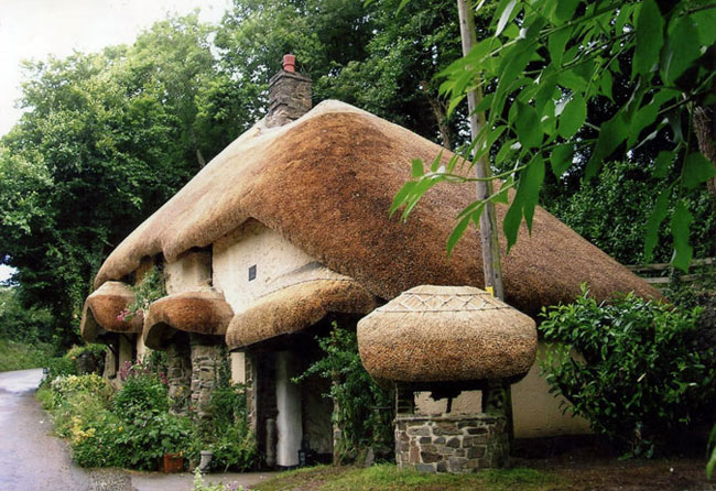 Devon Thatching Ltd | Master Thatchers Devon Thatching Ltd | Master Thatchers