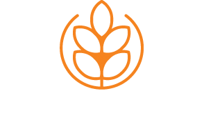 Devon Thatching Ltd | Master Thatchers Devon Devon Thatching Ltd | Master Thatchers Devon