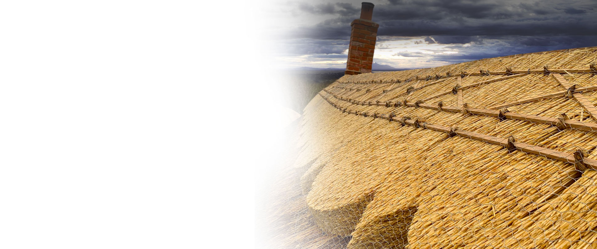 Devon Thatching Ltd | Master Thatchers Devon