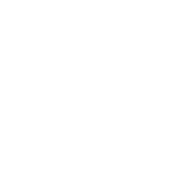 Blue Flame | Tick icon