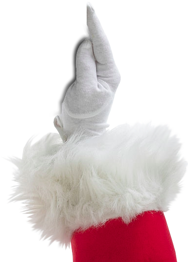 My Santa's Video