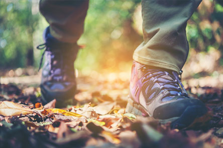 Walking