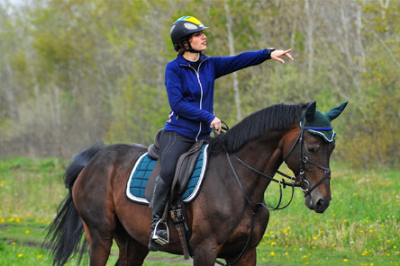 Horse Riding