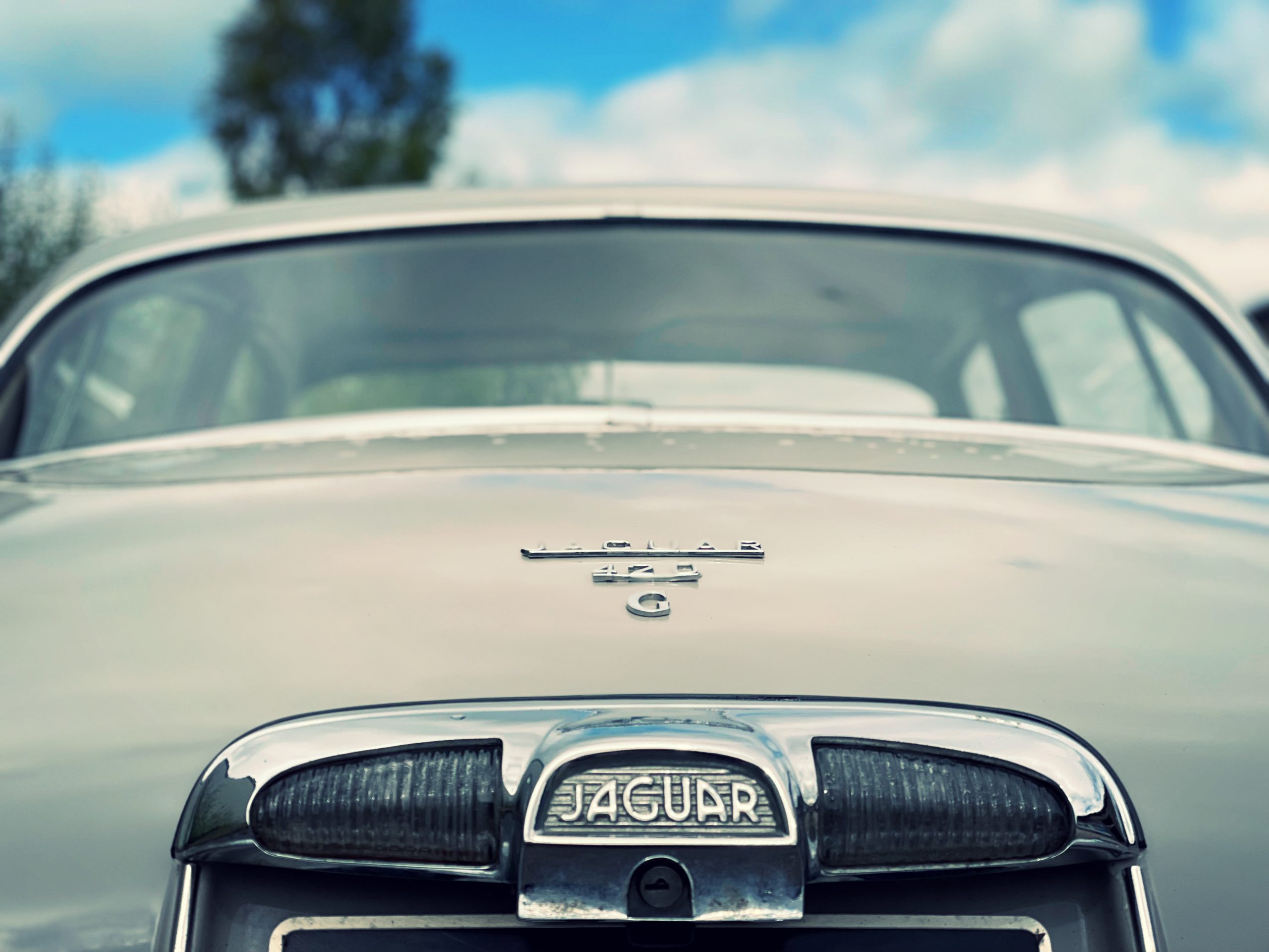 INDEPENDENT    ASTON MARTIN & JAGUAR  SPECIALIST SOUTH WEST