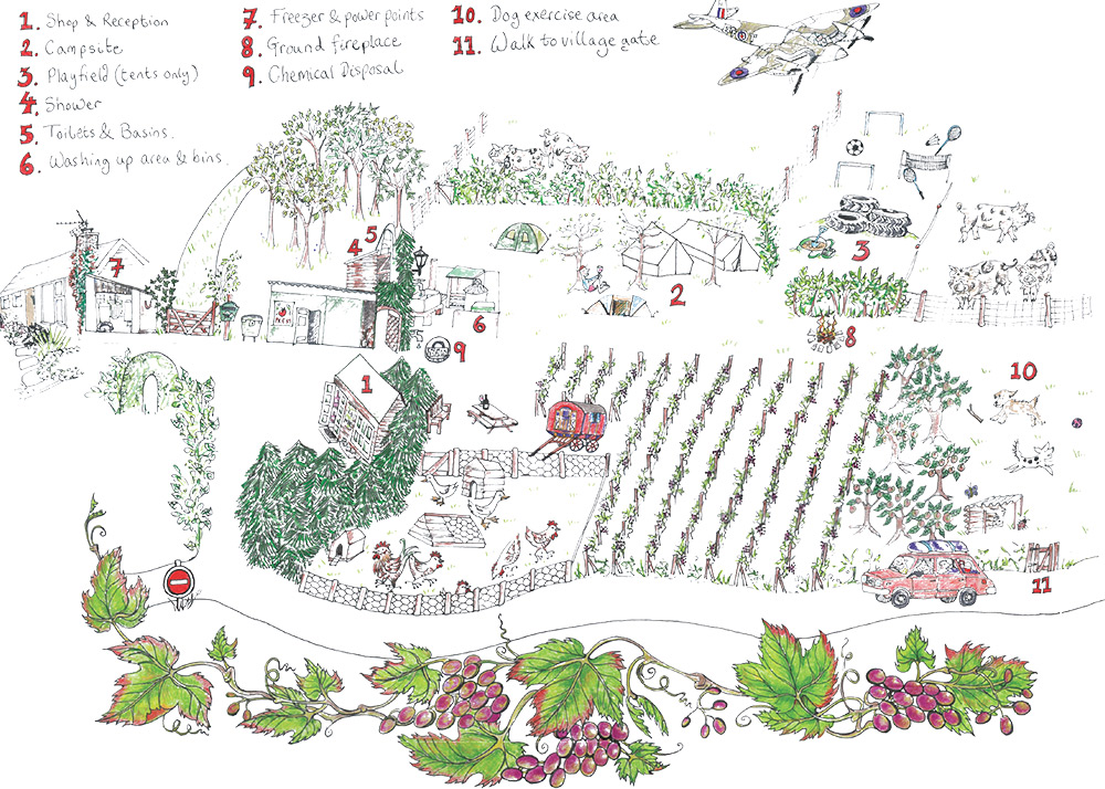 Ten Acres Vineyard | Glamping & Camping Devon Ten Acres Vineyard | Glamping & Camping Devon