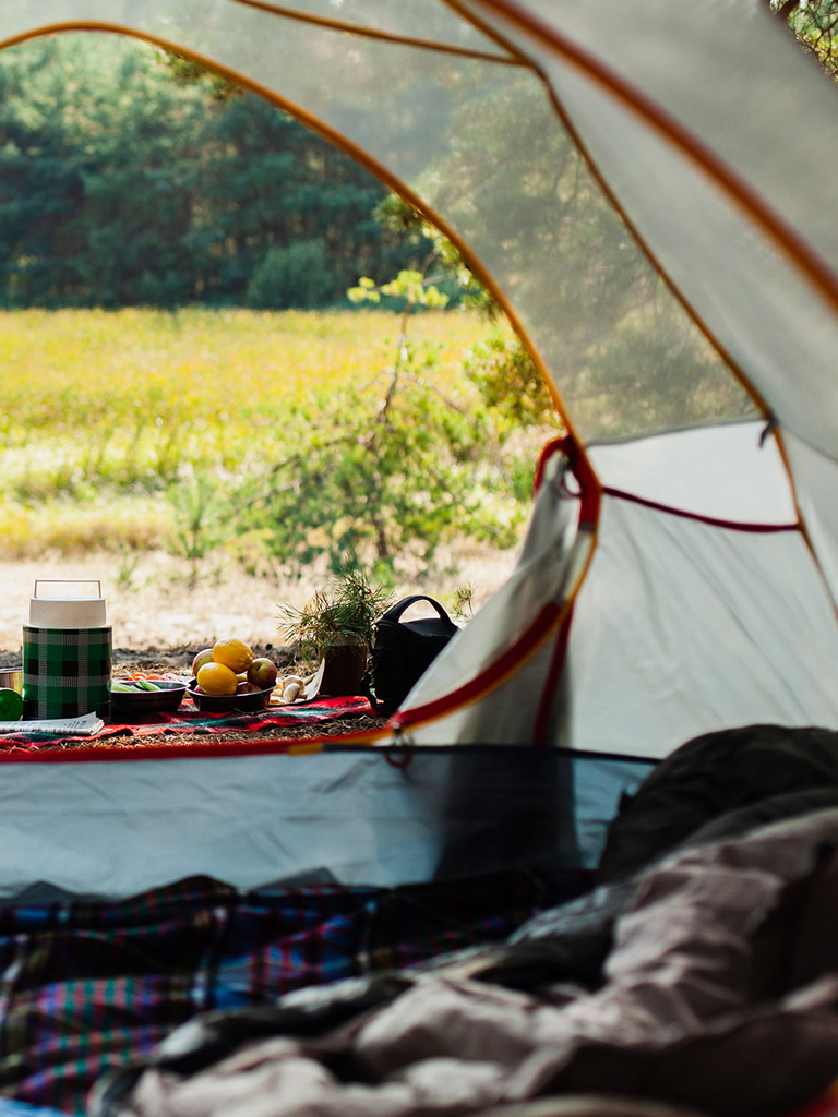 Ten Acres Vineyard | Glamping & Camping Devon
