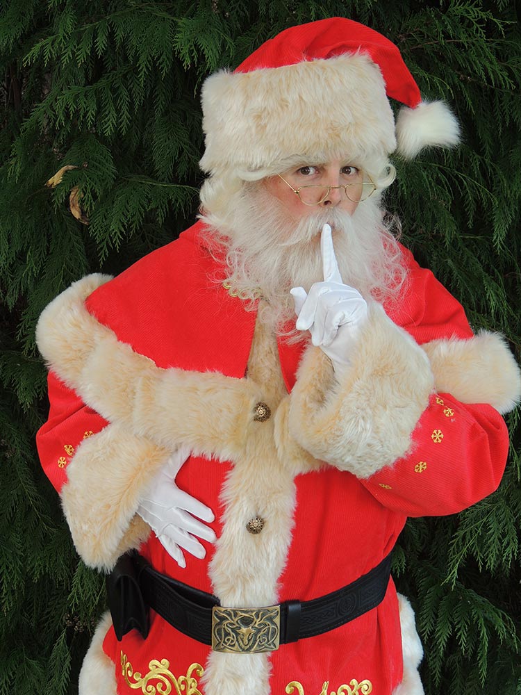 Father Christmas Hire | Santa Claus Hire