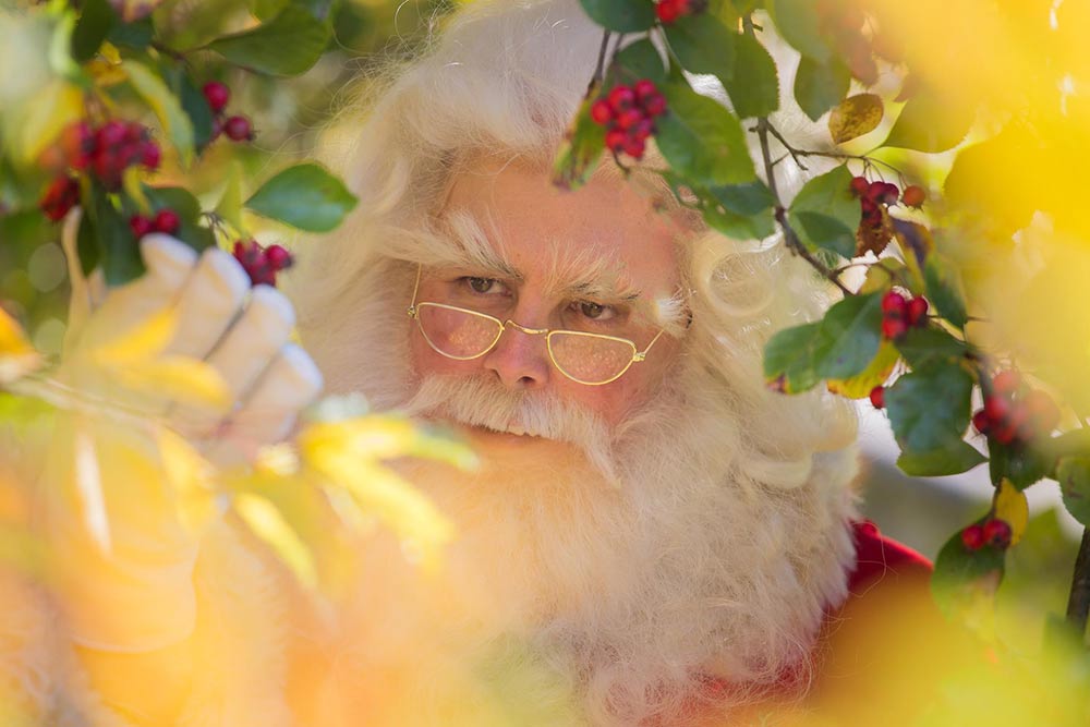 Father Christmas Hire | Santa Claus Hire
