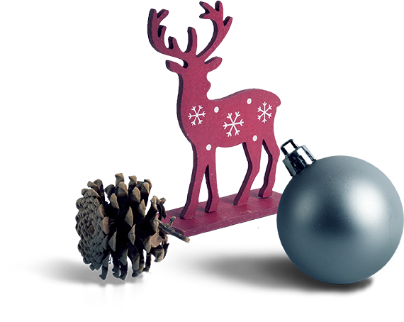 Father Christmas Hire | Santa Claus Hire