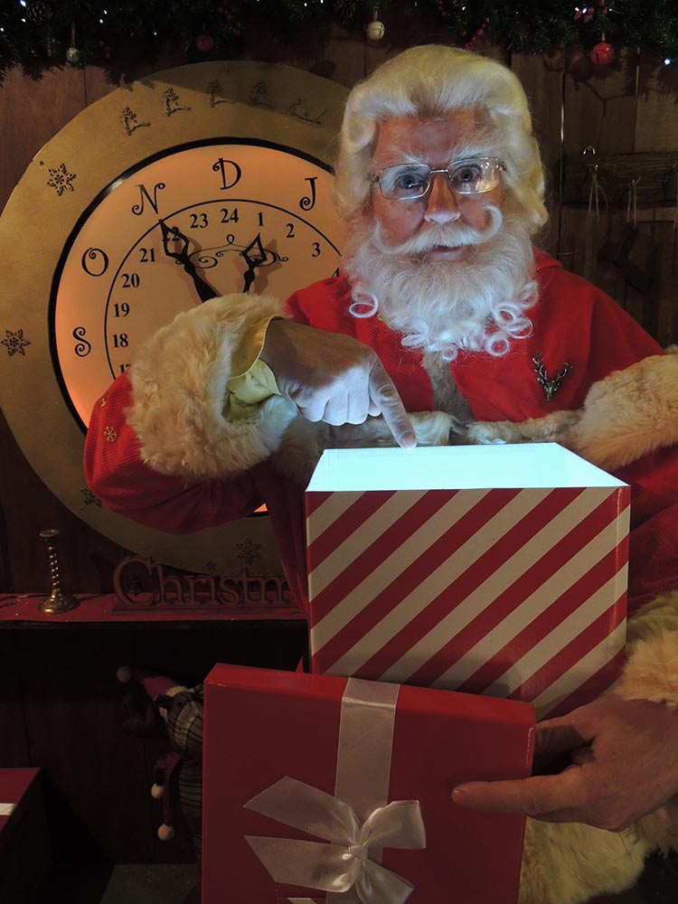 Father Christmas Hire | Santa Claus Hire