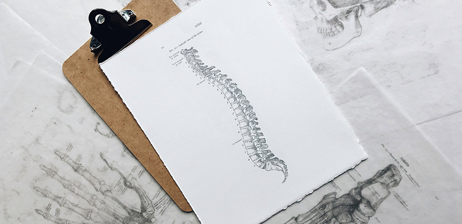 Chiropractic, Back Pain & the World Health Organisation Guidelines