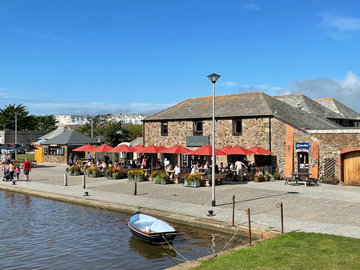 The Olive Tree 