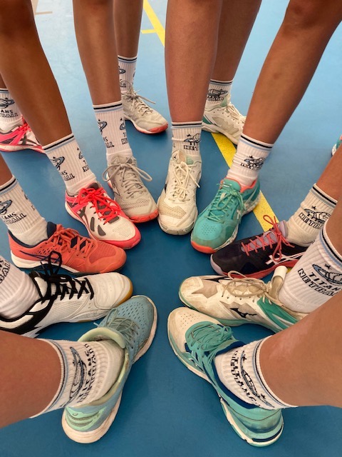 Titans Socks