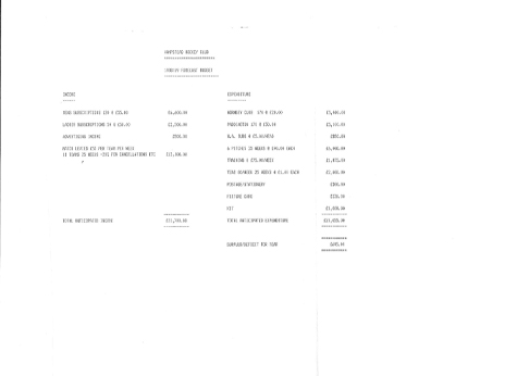 1989 Budget 1988 to 1989