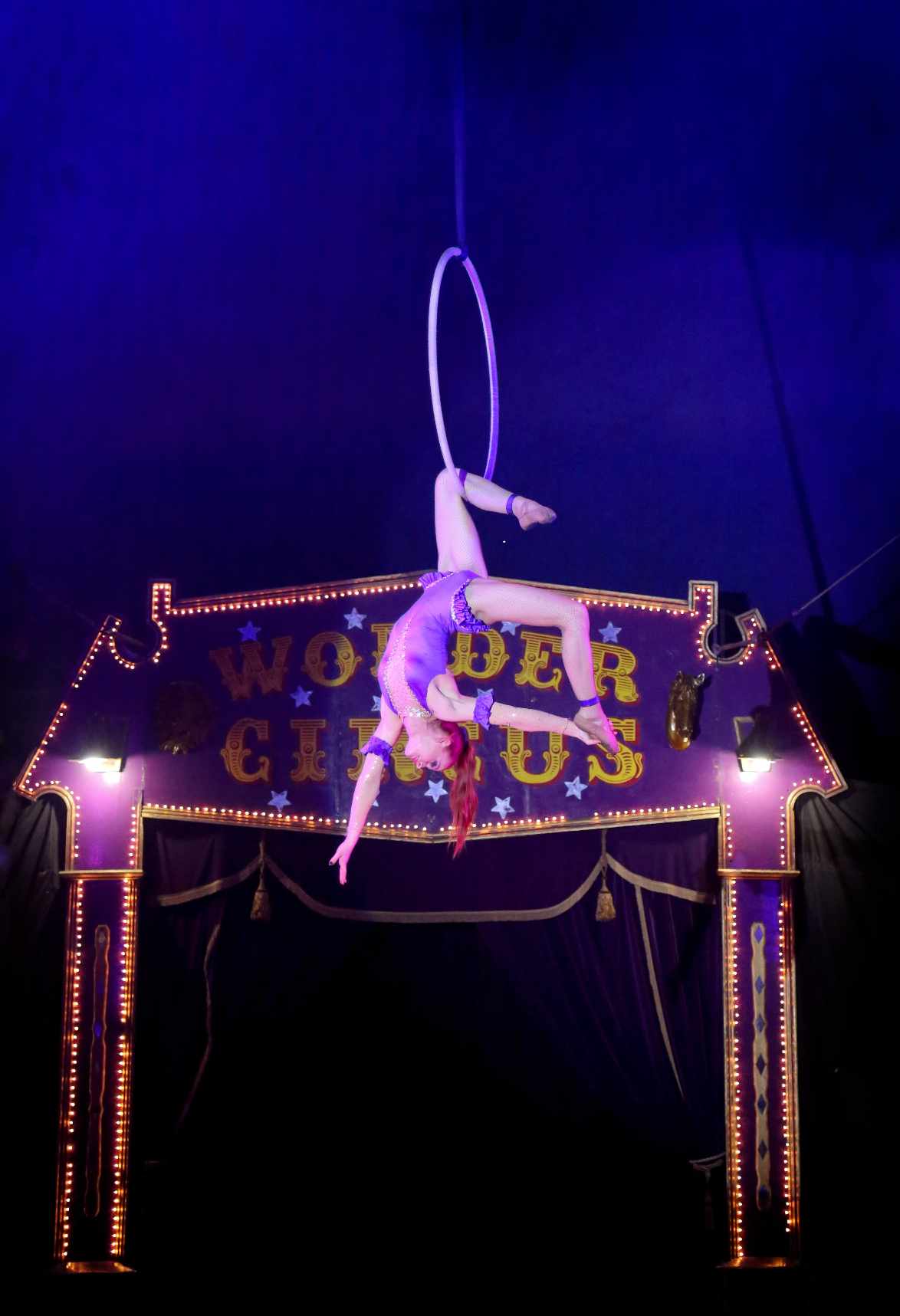 Circus Antics 2024 Christmas Highlights — photo 5