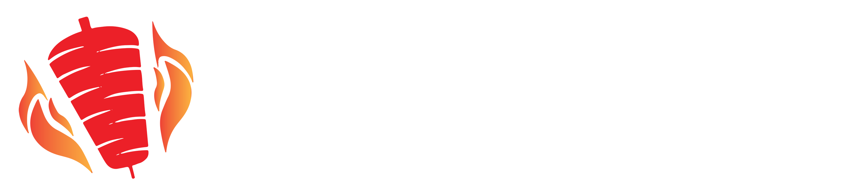 Döner G logo