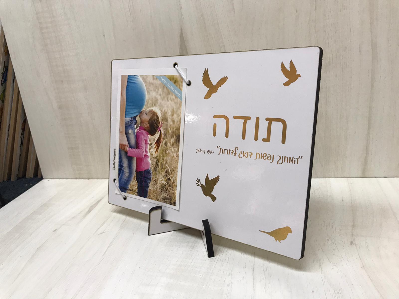 גלריה משפחה - תמונה 35