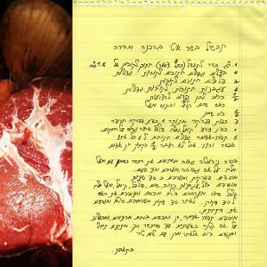 מתכוני בשר