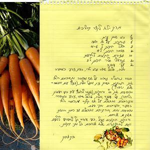 כל השאר כולל לחם