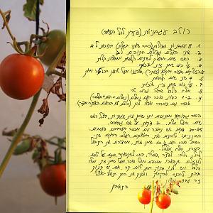 כל השאר כולל לחם