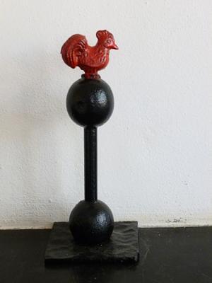 Rode haan -  Red rooster