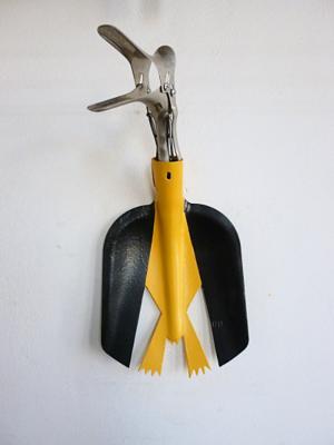 Vogelbekvogel - Birds beak