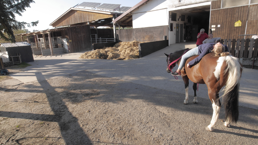 Reitstall Kalles Heimat – Bild 21