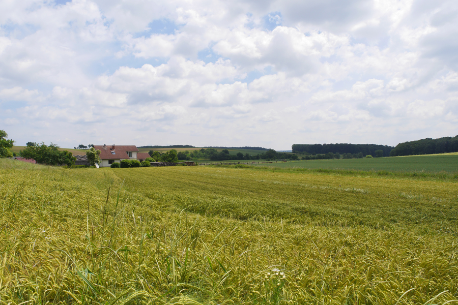 Kalles Heimat Impressionen – Bild 1