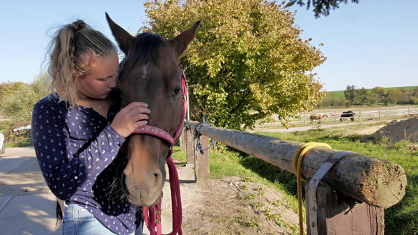 Reitunterricht bei Doro – Reiterin mit Pferd