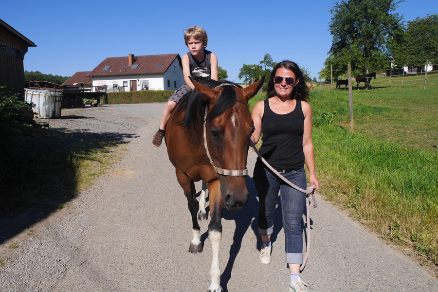 Reitstall Kalles Heimat – Bild 13