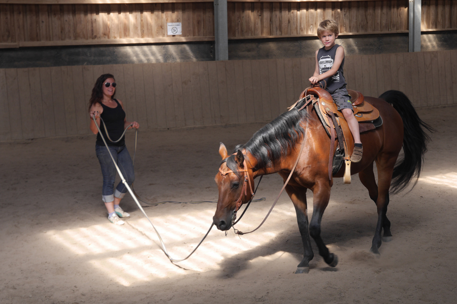 Reitstall Kalles Heimat – Bild 6