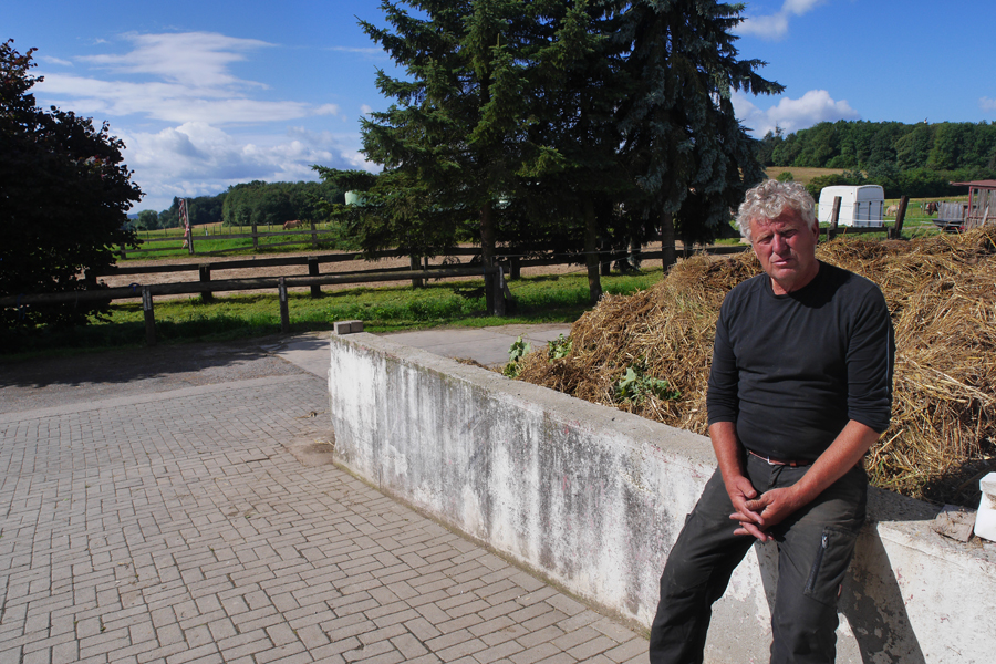 Pferde in Kalles Heimat – Bild 14
