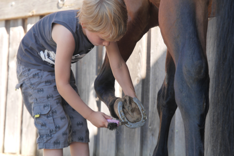 Reitstall Kalles Heimat – Bild 14