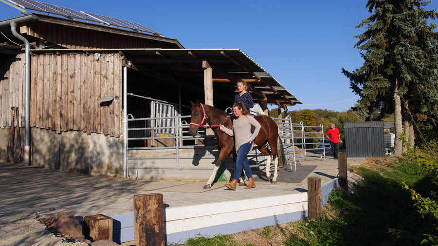 Reitstall Kalles Heimat – Bild 3