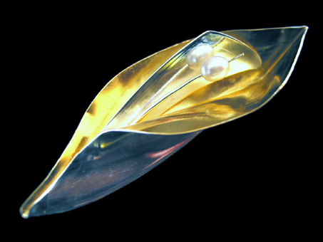 Becky's Leaf Pin